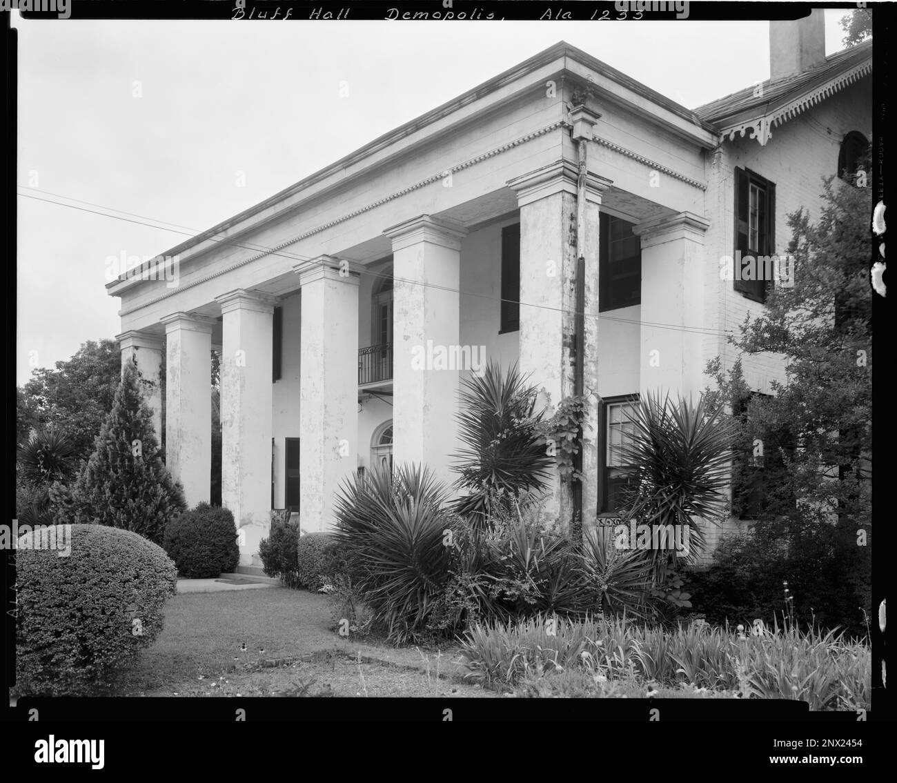 Bluff Hall, Demopolis, comté de Marengo, Alabama. Carnegie Etude de l'architecture du Sud. États-Unis, Alabama, comté de Marengo, Demopolis, Columns, Maisons. Banque D'Images
