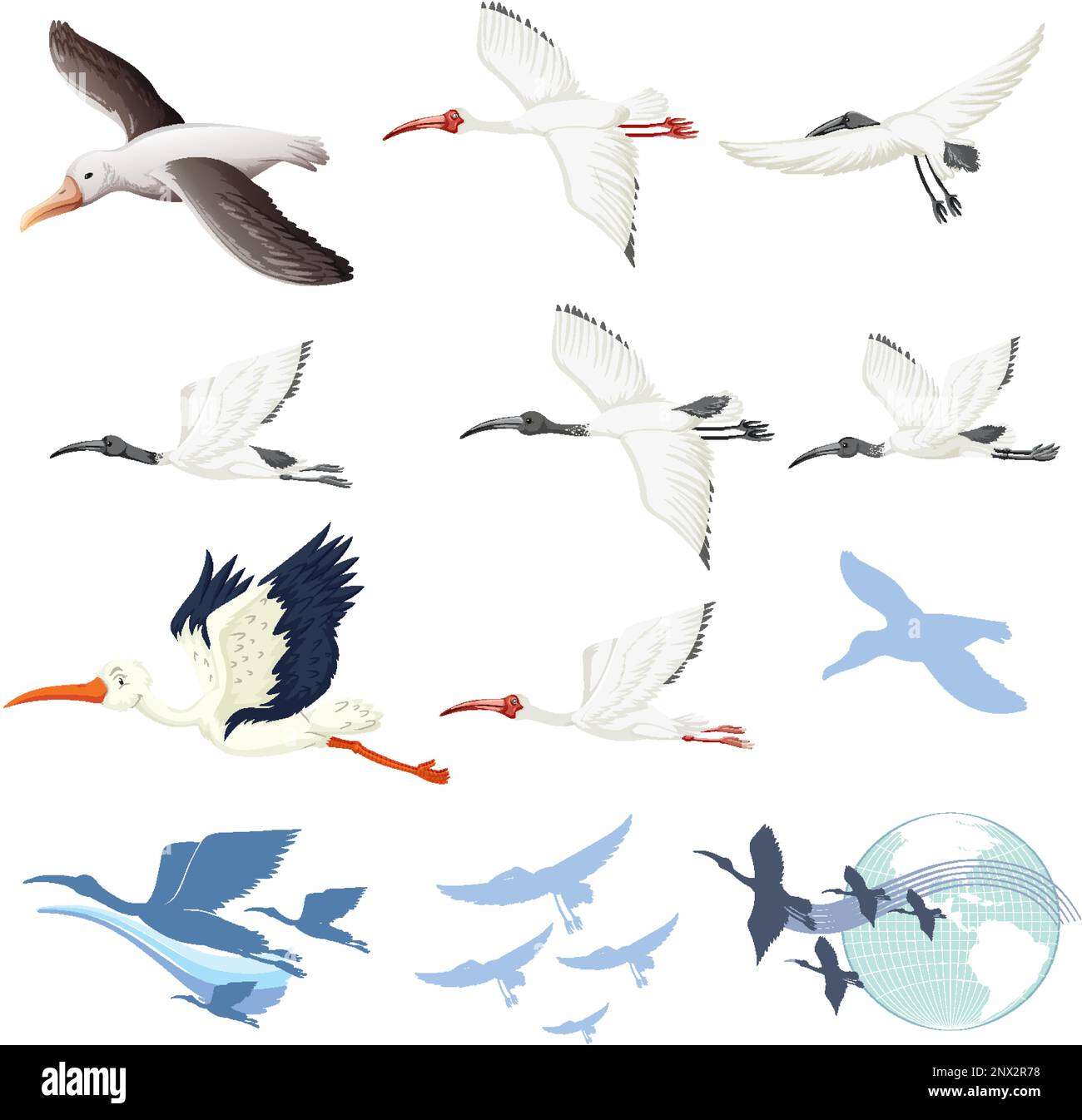 Illustration d'un ensemble de caractères de dessin animé d'oiseau différents Illustration de Vecteur