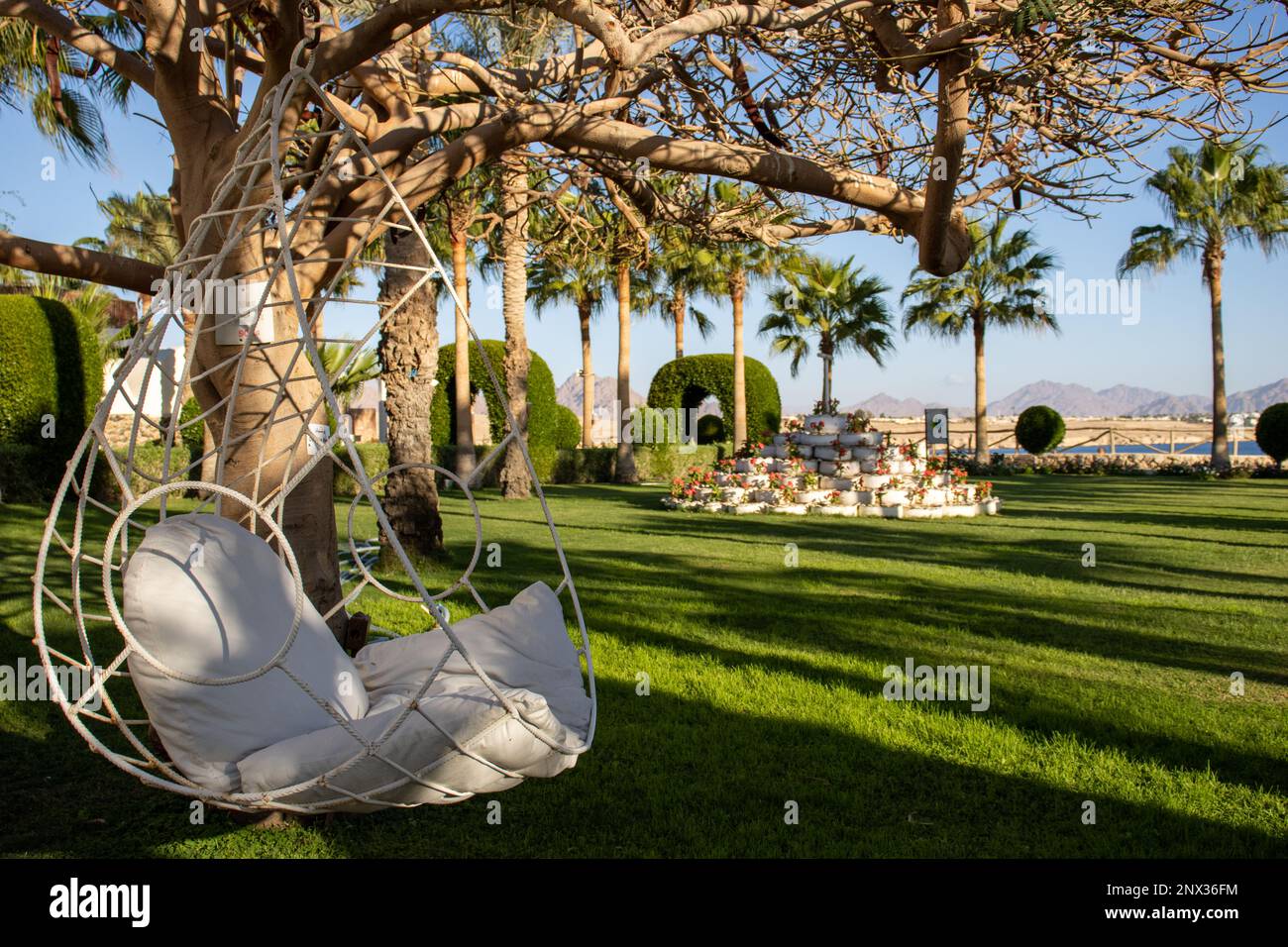 SHARM EL SHEIKH, EGYPTE - 31 JANVIER 2023 Labranda Sharm Club jardin chaise hamac fait d'une barre d'armature Banque D'Images