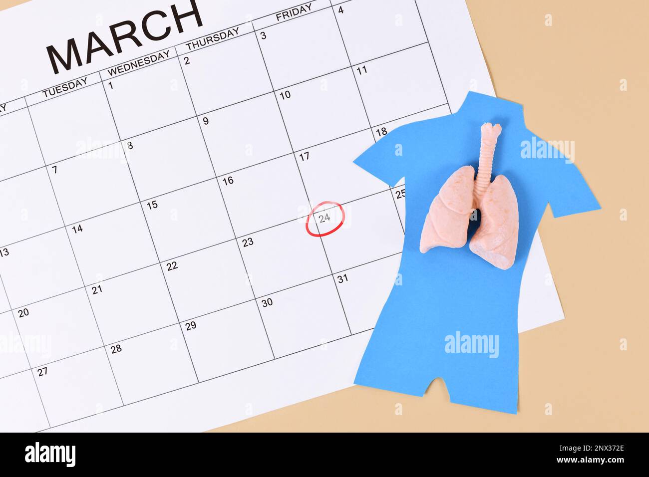 Concept de la Journée mondiale de la tuberculose avec modèle d'organe pulmonaire et feuille de calendrier de mars Banque D'Images