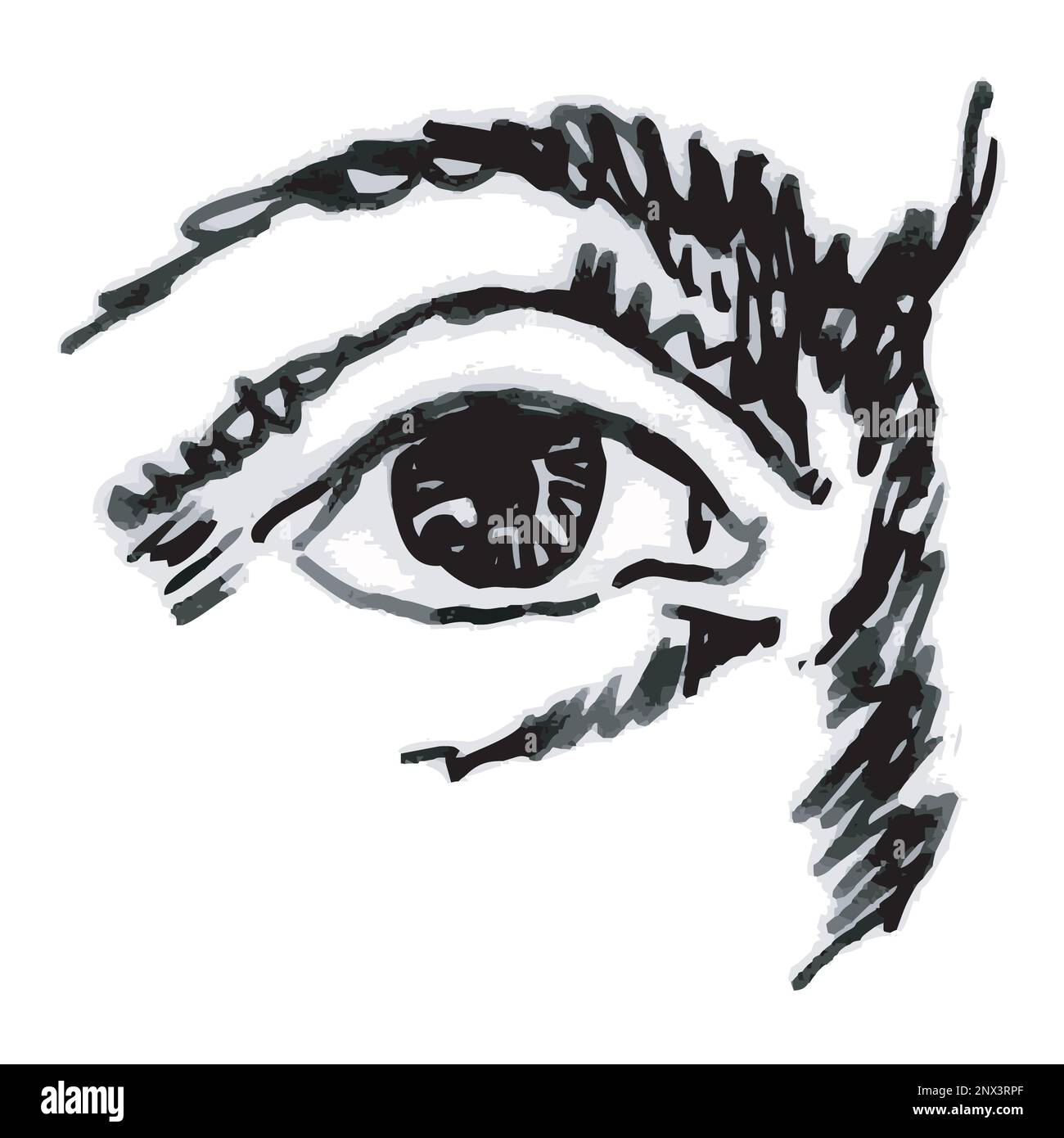 Dessin d'un œil, dessin à la main vectoriel noir et blanc Illustration de Vecteur