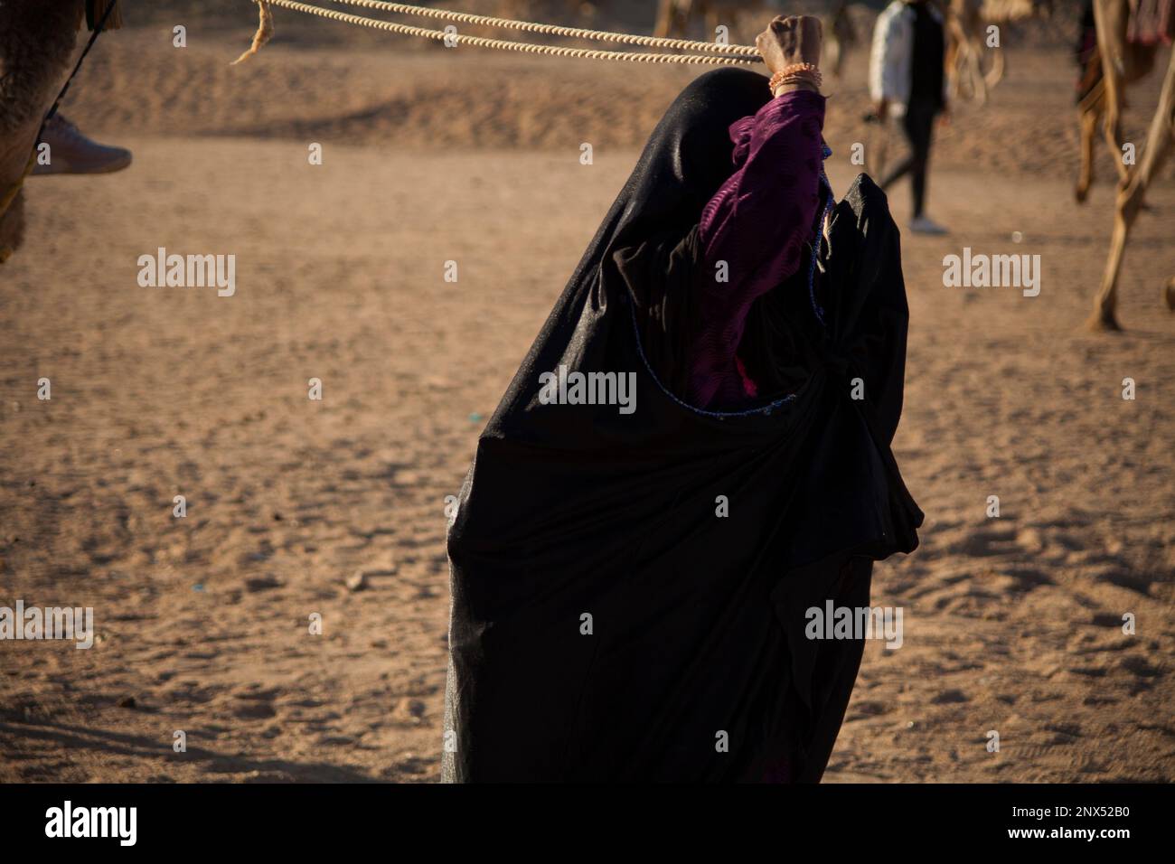 Berber, femme musulmane à la tête du camerl en Égypte Banque D'Images