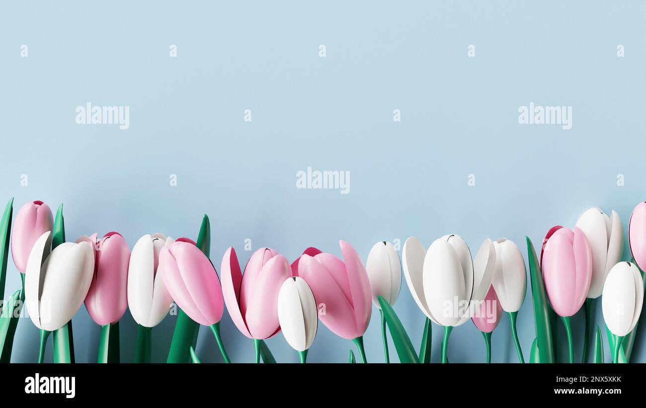 Bordure des fleurs de tulipes roses et blanches sur fond bleu. 3D rendu Banque D'Images