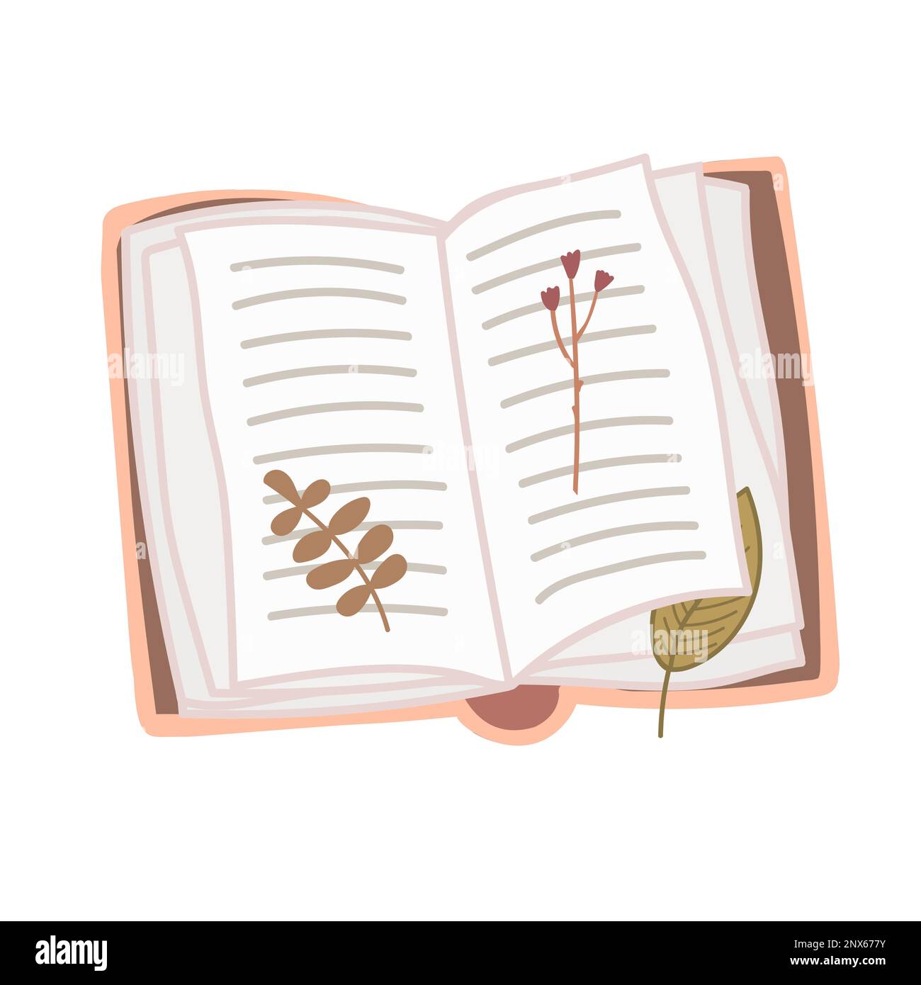 Vieux livre ouvert vintage avec des feuilles séchées et des fleurs isolées sur fond blanc. Illustration vectorielle dessinée à la main Illustration de Vecteur