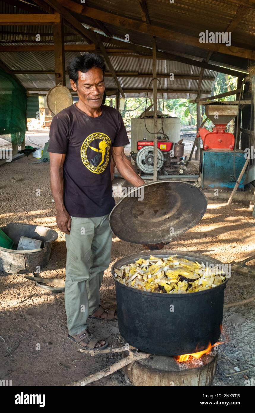 Un homme dans un village cambodgien rural vérifie le pot de cuisine de nourriture de porc composé de jackfruit et de tronc de bananiers. Province de Siem Reap, Cambodge. Banque D'Images