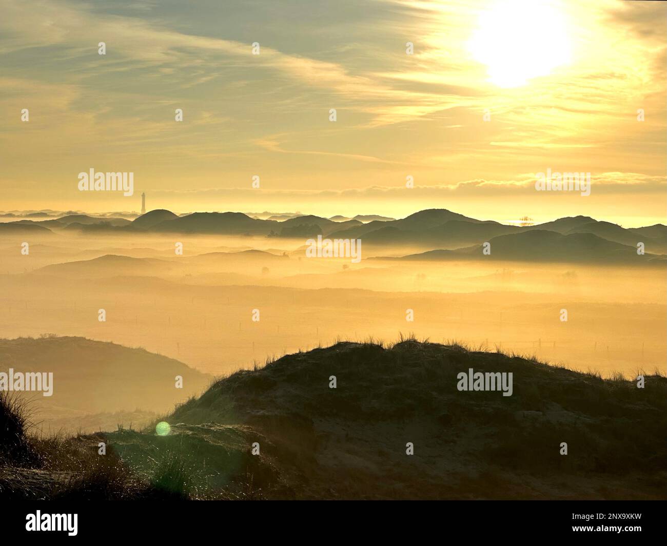 01 mars 2023, Basse-Saxe, Norderney: Des bancs de brouillard se trouvent entre les dunes de l'île frisonne est de Norderney sous le soleil du matin. Pour les jours à venir, les météorologistes s'attendent à un brouillard épais en Basse-Saxe, qui ne se dissipe qu'avec hésitation au cours de la journée. Photo: Volker Bartels/dpa Banque D'Images