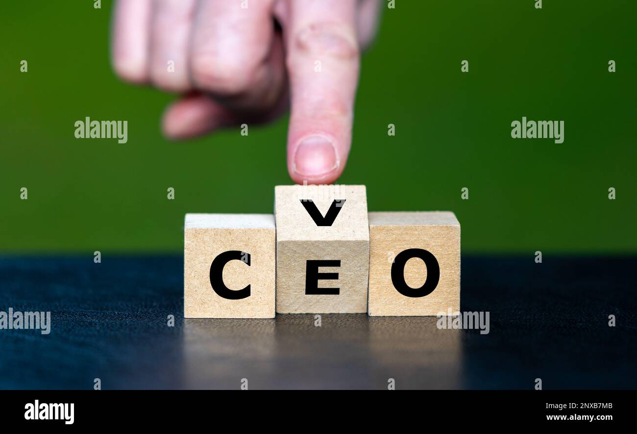 La main tourne les cubes et change l'abréviation CEO (Chief Executive Officer) en CVO (Chief visionnaire Officer). Banque D'Images