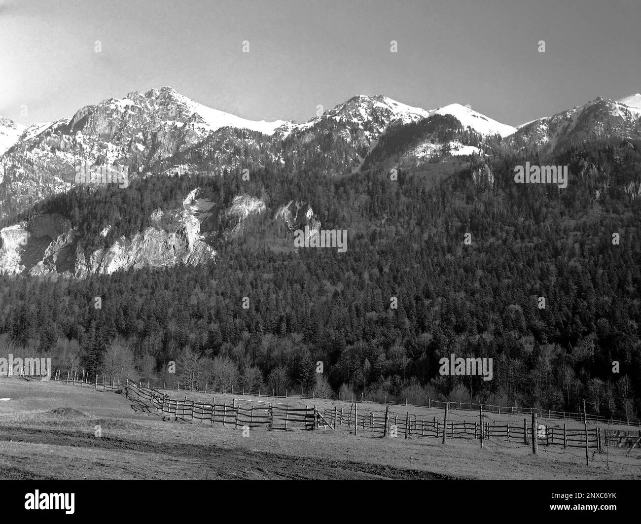 Roumanie, environ 1974. Vue sur les montagnes Bucegi avec de la neige au sommet. Banque D'Images