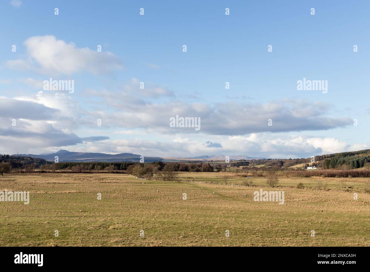 Vue sur les champs avec des moutons jusqu'aux montagnes lointaines des Highlands du sud, vue depuis le chemin partagé John Muir Way et West Highland Way près de Dumgoyach. Banque D'Images