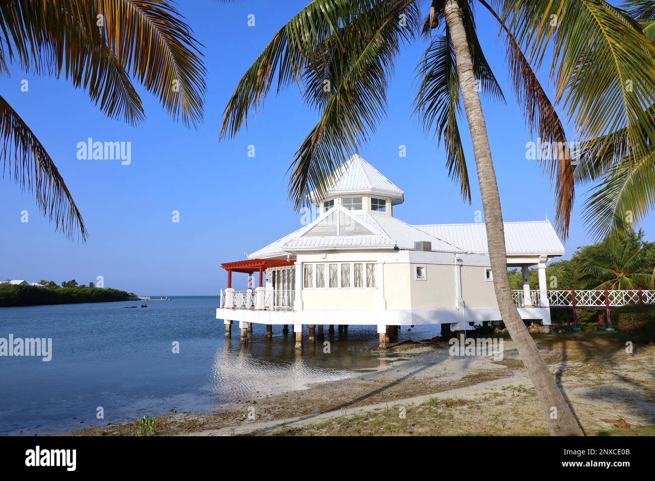 Vue pittoresque sur une maison blanche sur pilotis sur une plage tropicale avec des palmiers à noix de coco. Villa dans une baie sur l'île des Caraïbes Banque D'Images