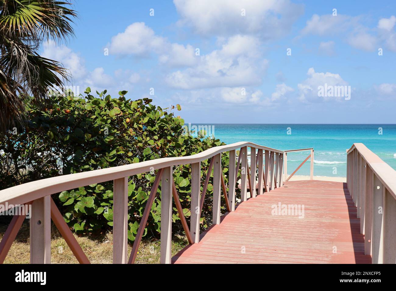 Vue pittoresque sur la plage tropicale avec sable blanc et palmier. Chemin en bois vers la côte de l'océan, station touristique sur l'île ensoleillée Banque D'Images