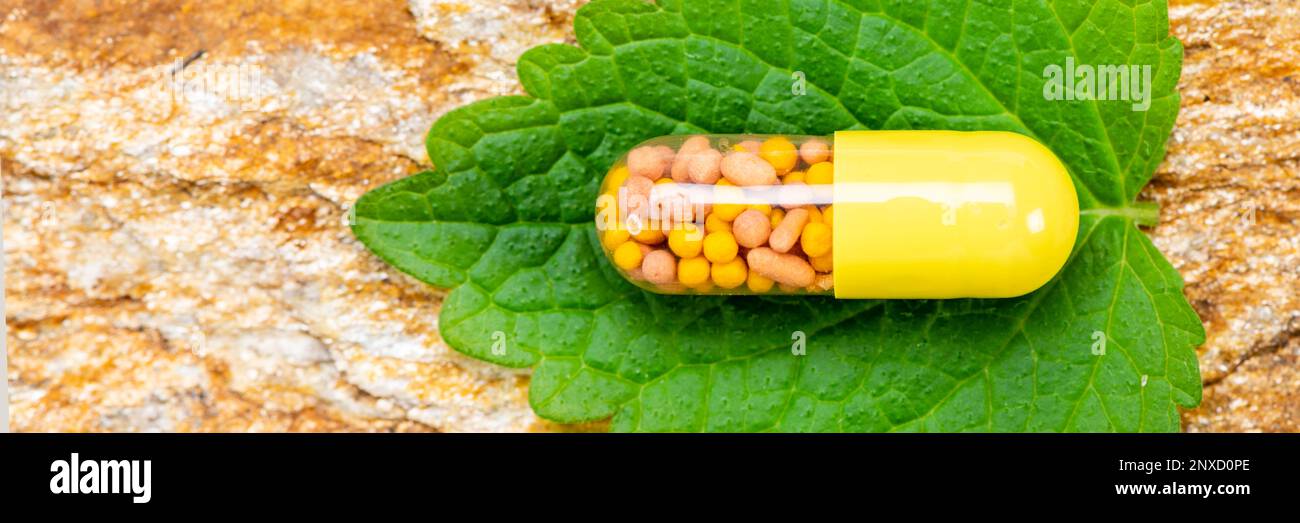 La médecine alternative avec des pilules à base de plantes Banque D'Images