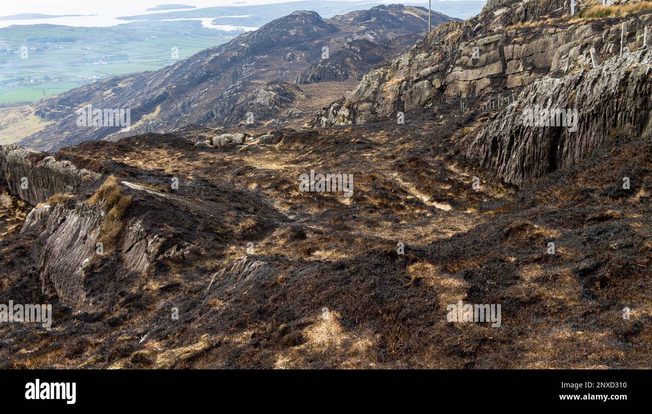 Mont Gabriel West Cork Irlande la terre brûlée après que le feu de Gorse a brûlé la végétation de montagne Banque D'Images