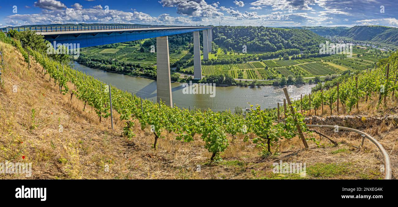 Vue panoramique sur la Moselle allemande avec pont de la vallée de la Moselle et vignobles sous le soleil de jour Banque D'Images