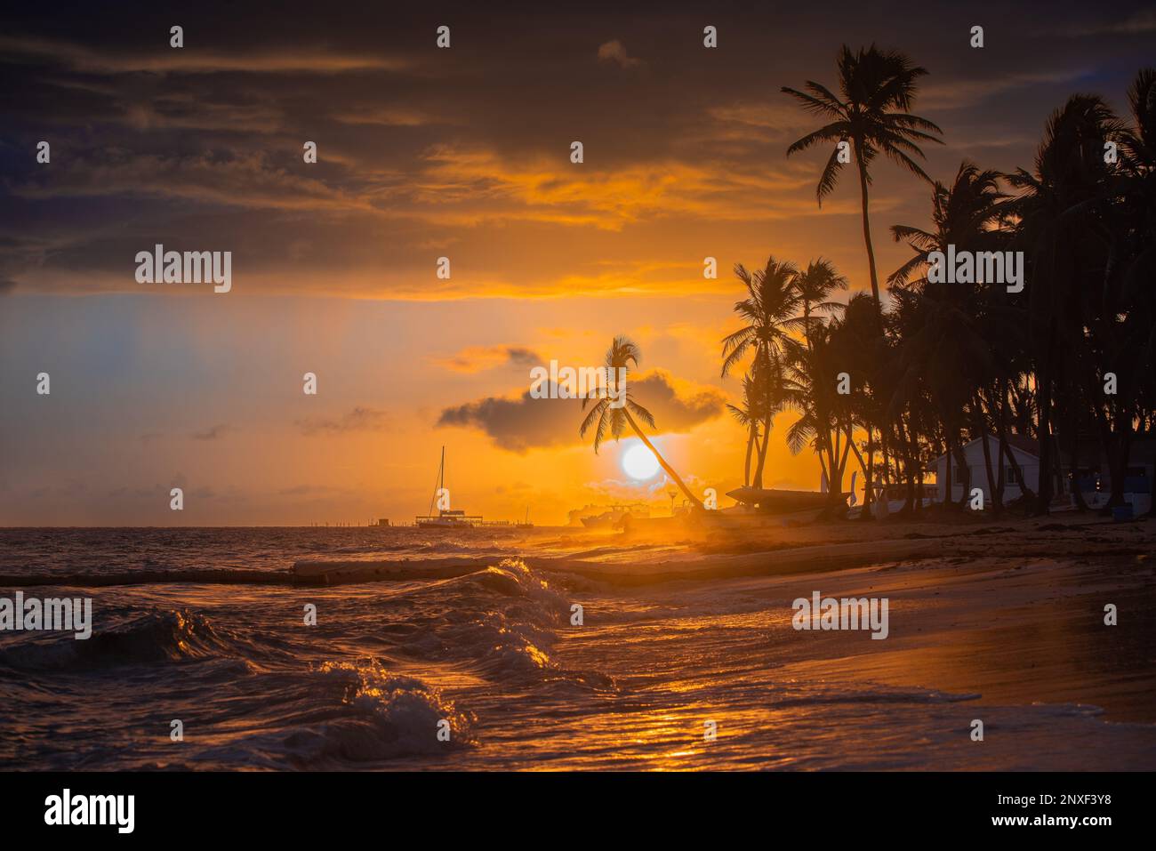 Coucher de soleil sur la plage. Plage paradisiaque. Paradis tropical, sable blanc, plage, palmiers et eau claire. Banque D'Images