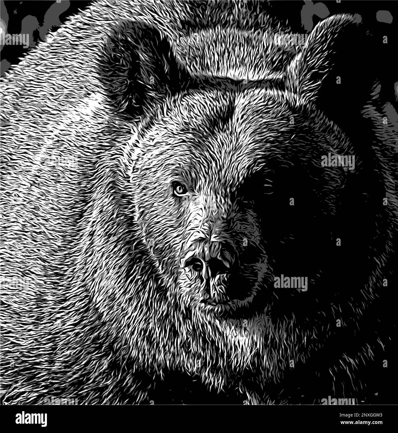 Gros plan d'une tête d'ours marron pour t-shirt, vêtements, tatouage, logo. Illustration de Vecteur