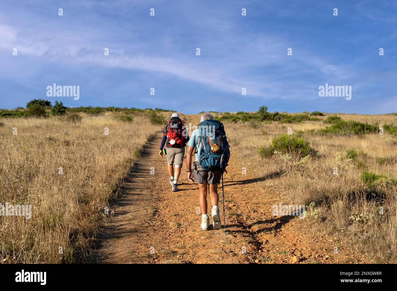 Pèlerins marchant à travers le paysage sec des barons sur le Camino de Santiago, la voie française dans le nord de l'Espagne Banque D'Images