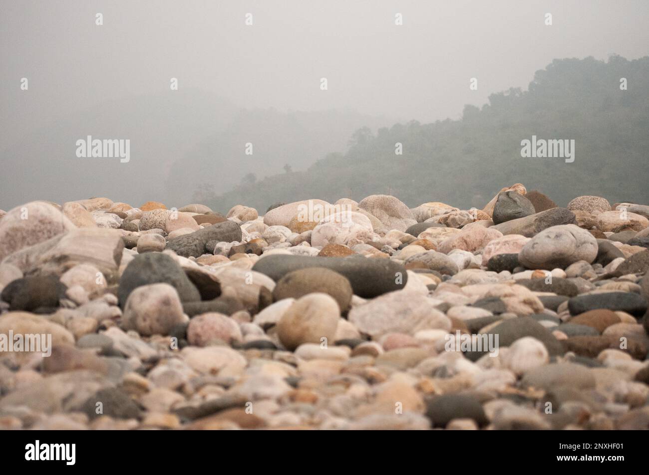 Une photo de beauté naturelle d'un lieu touristique bien connu appelé « sada Pathor » au Bangladesh. Banque D'Images