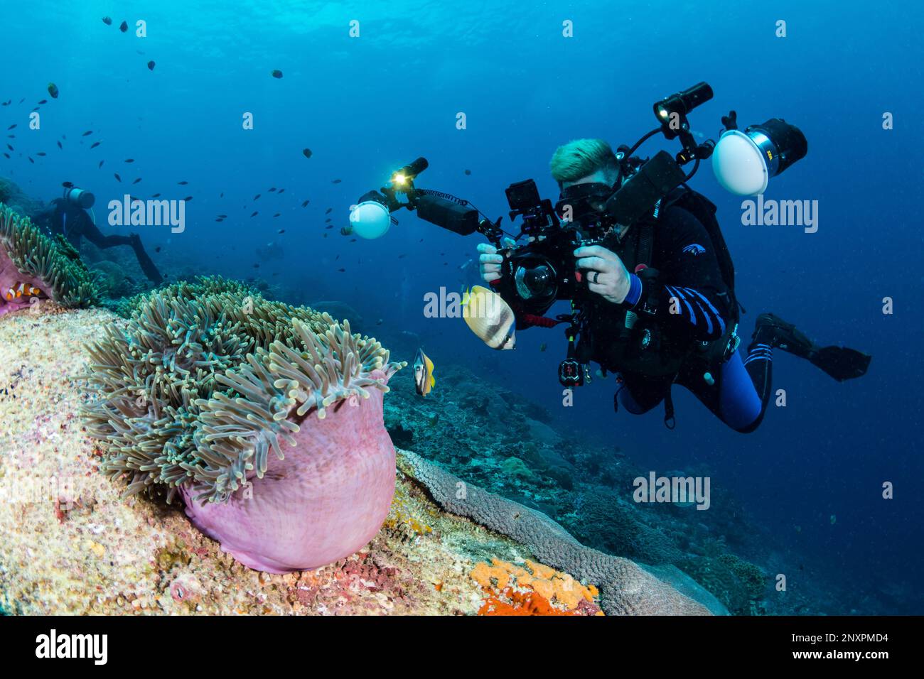 Un photographe sous-marin prend une photo d'un anémone tout en plongée sous-marine Nusa Penida, Bali. Banque D'Images