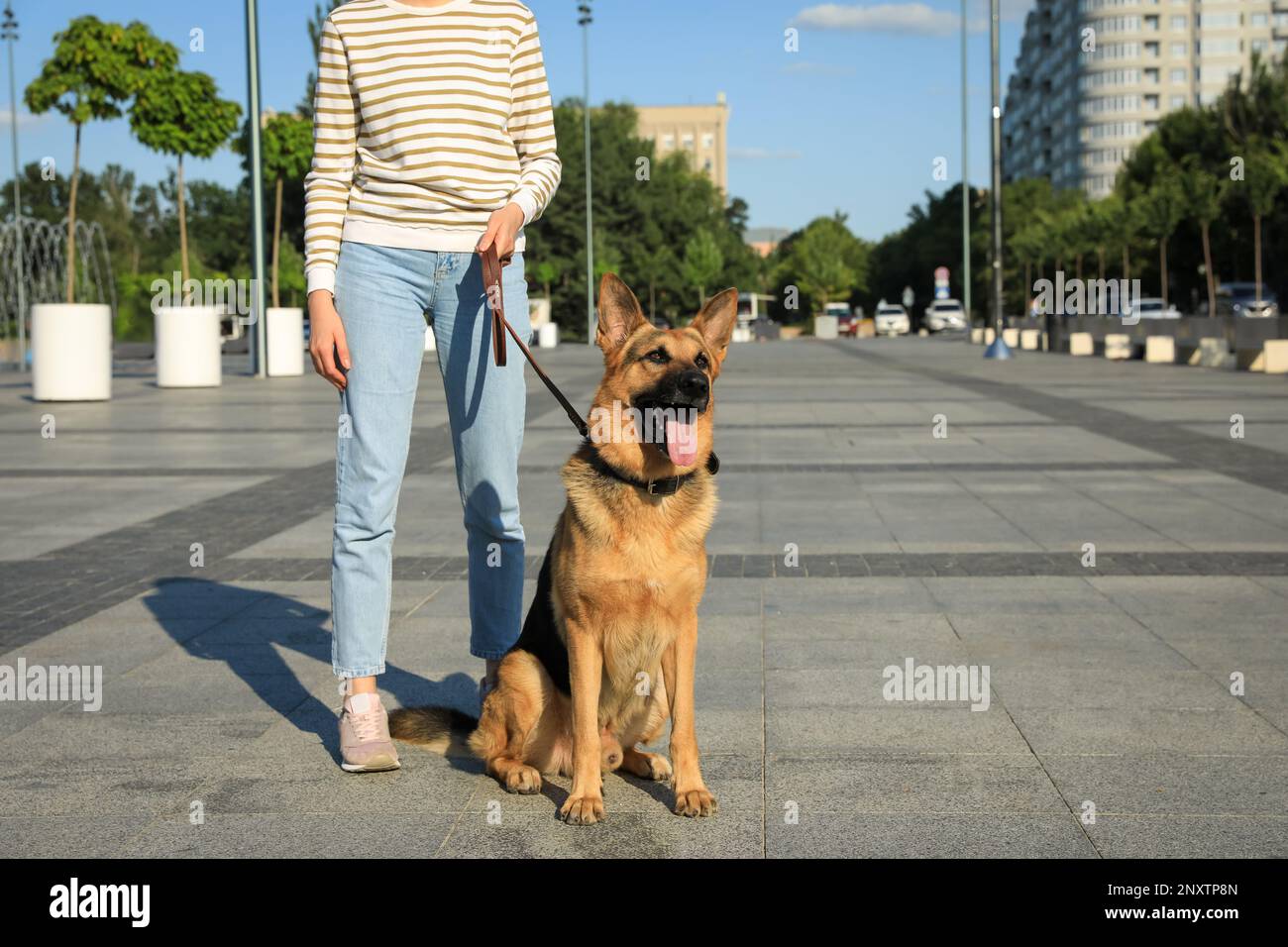 Femme avec son chien agressif dans la rue de la ville, à proximité Banque D'Images