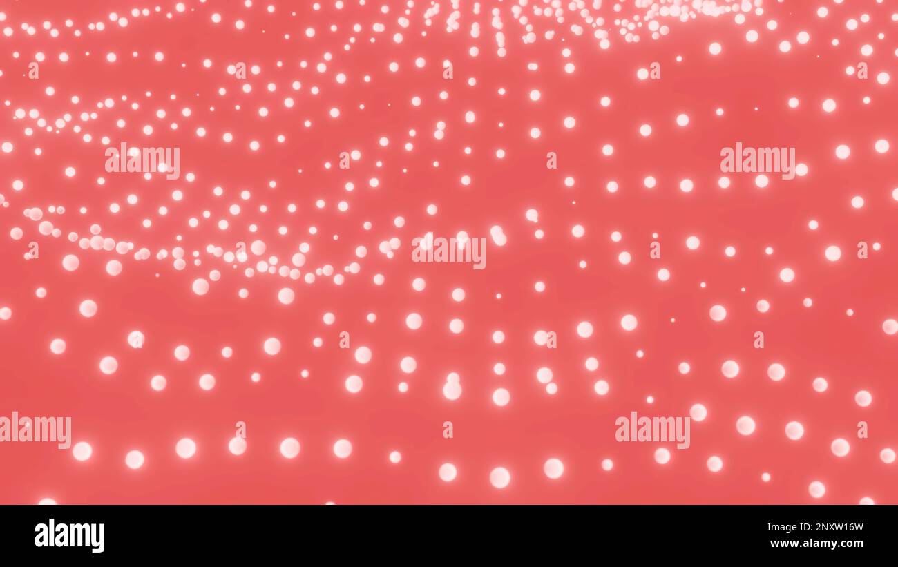 Arrière-plan rose avec de petits points blancs ondulés. Conception. Mouvement vers le haut et vers le bas des petits points blancs Banque D'Images