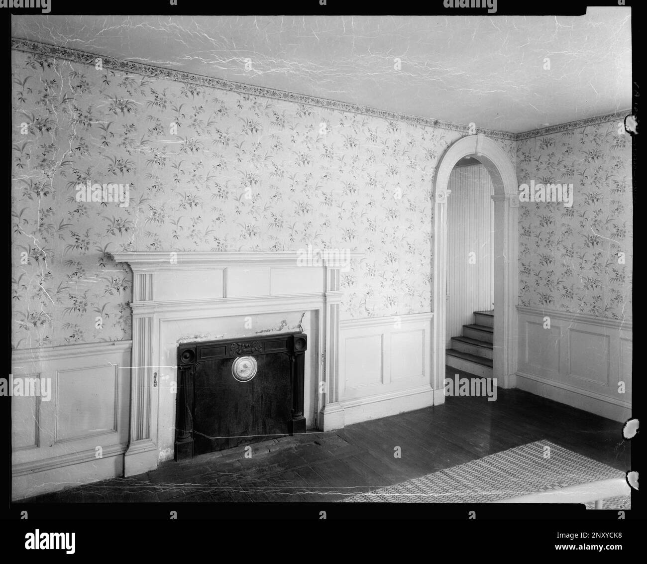 Mt. Custis, vic., comté Virginie. Carnegie Etude