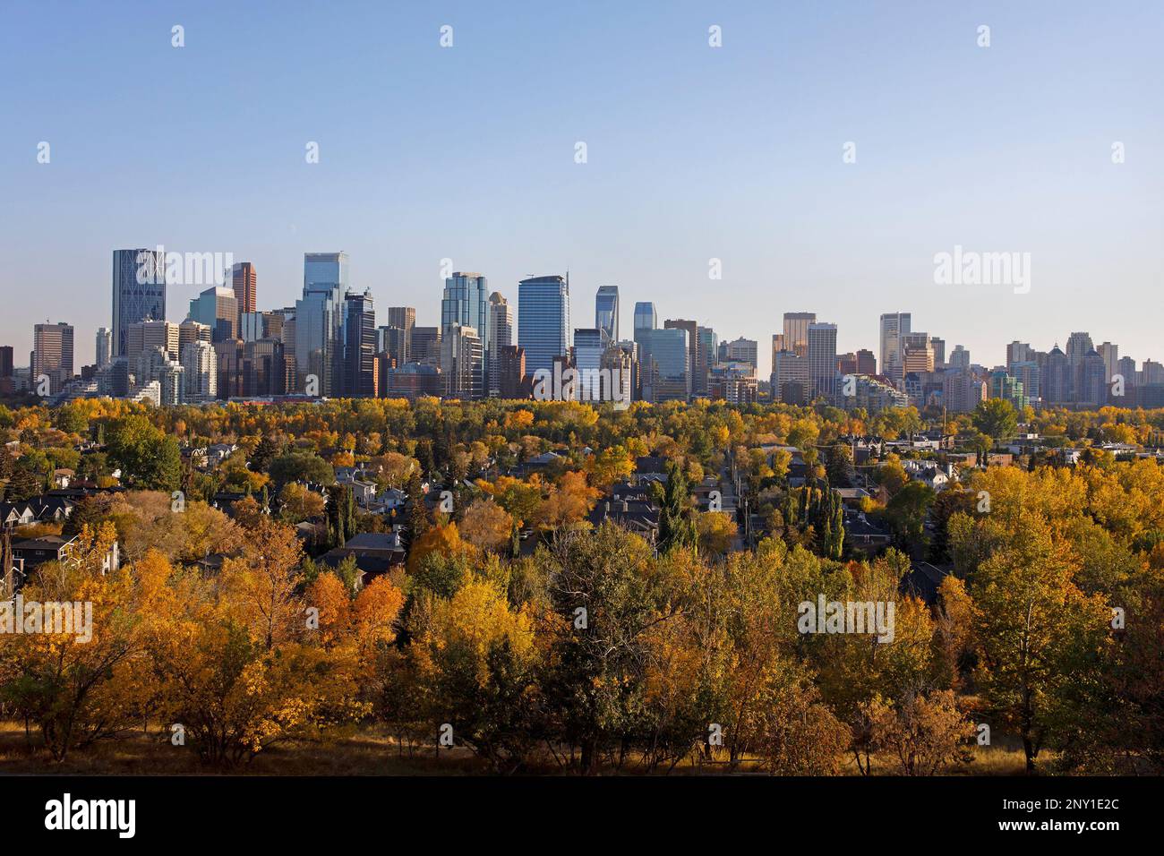 Skyline de Calgary dans le quartier central des affaires du centre-ville et le quartier du centre-ville Sunnyside avec des arbres aux couleurs de l'automne, Alberta, Canada. Banque D'Images