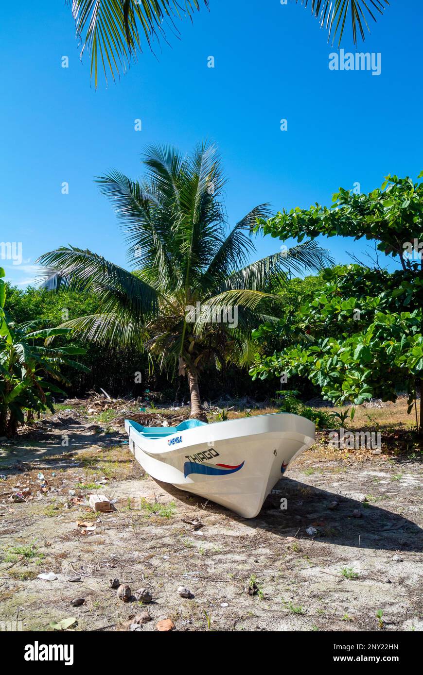 Mahahual, Quintana Roo, Mexique, Un bateau de pêcheur avec des palmiers Banque D'Images