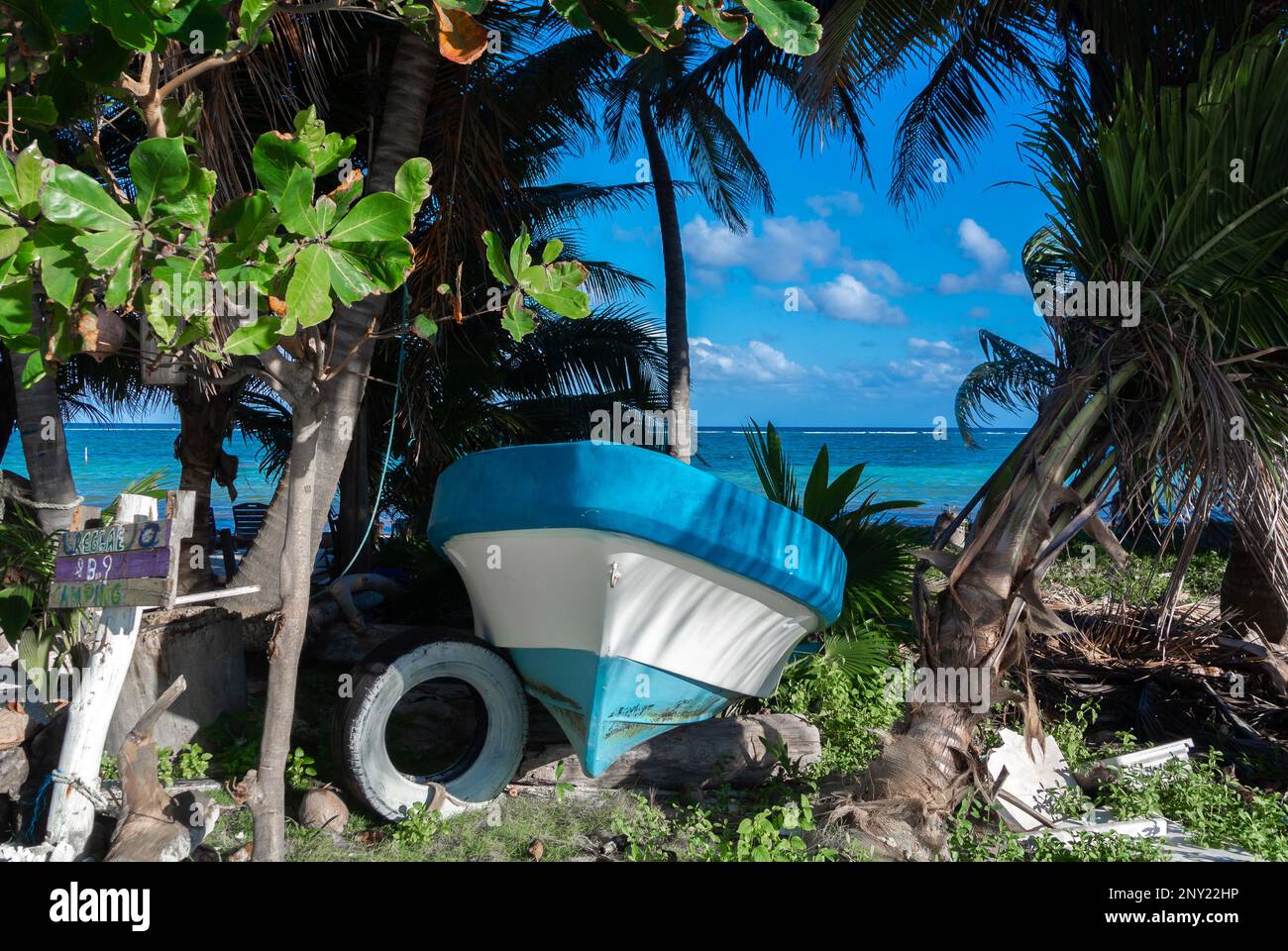 Mahahual, Quintana Roo, Mexique, Un bateau de pêcheur avec des palmiers Banque D'Images