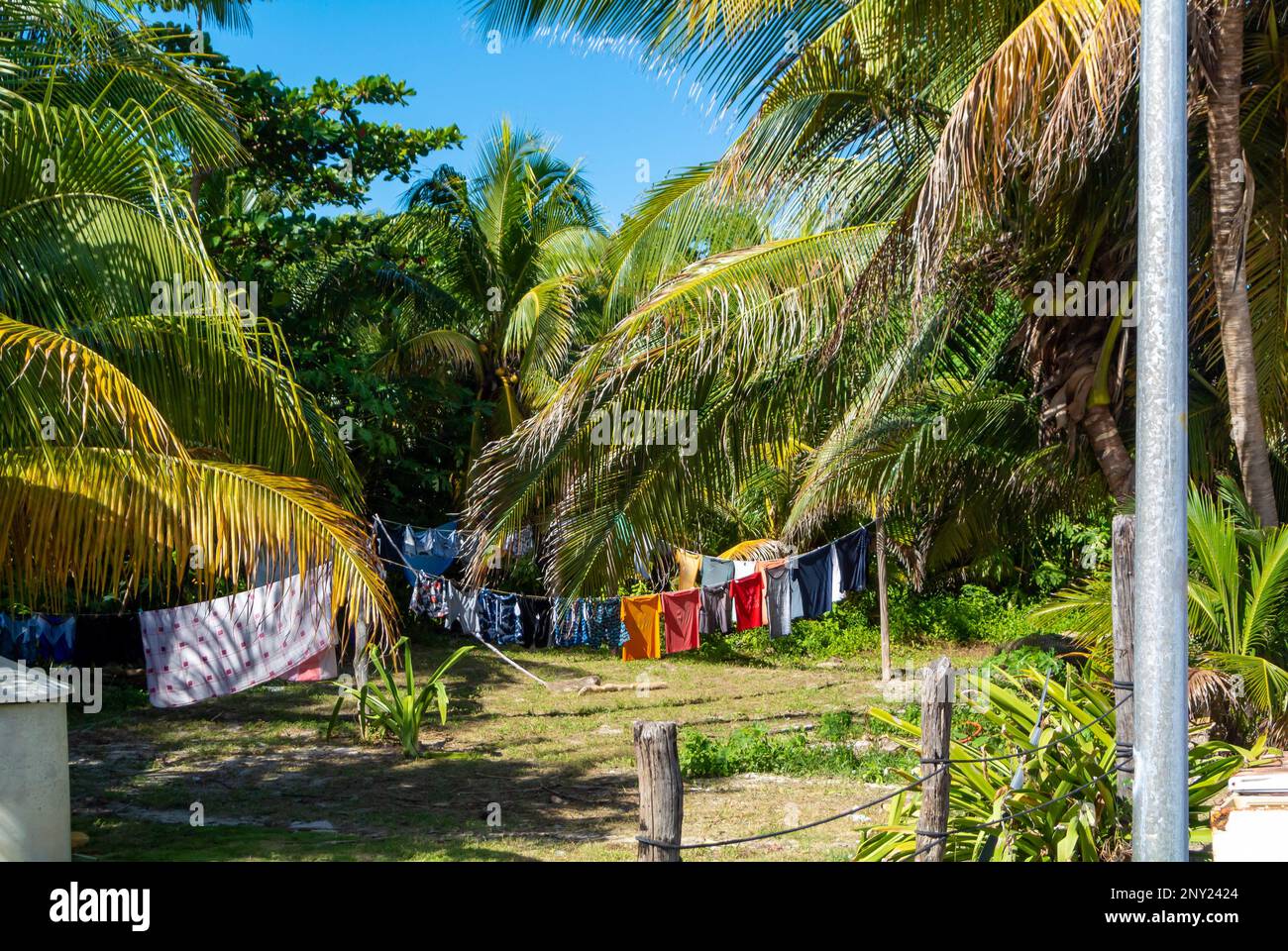 Mahahual, Quintana Roo, Mexique, linge suspendu sur une corde dans la nature Banque D'Images