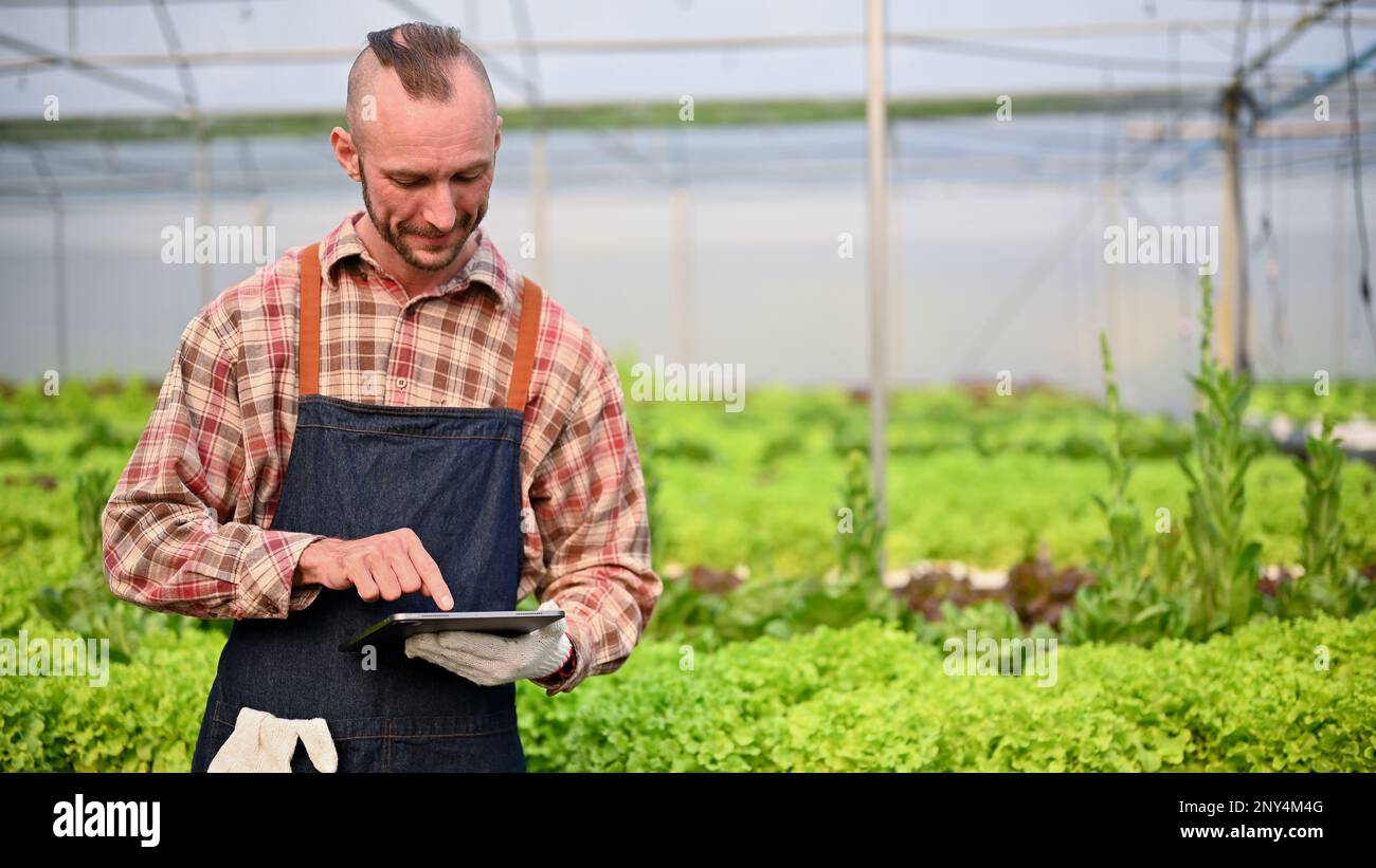 Heureux et professionnel adulte mâle de race blanche propriétaire de ferme hydroponique ou travailleur agricole utilisant sa tablette numérique pour vérifier le système d'eau en serre. sma Banque D'Images