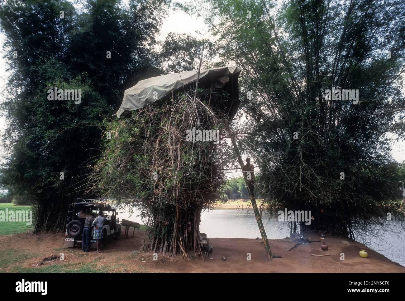 Tour anti-braconnage construite sur un buisson de bambou à Kabini, Karnataka, Inde Banque D'Images