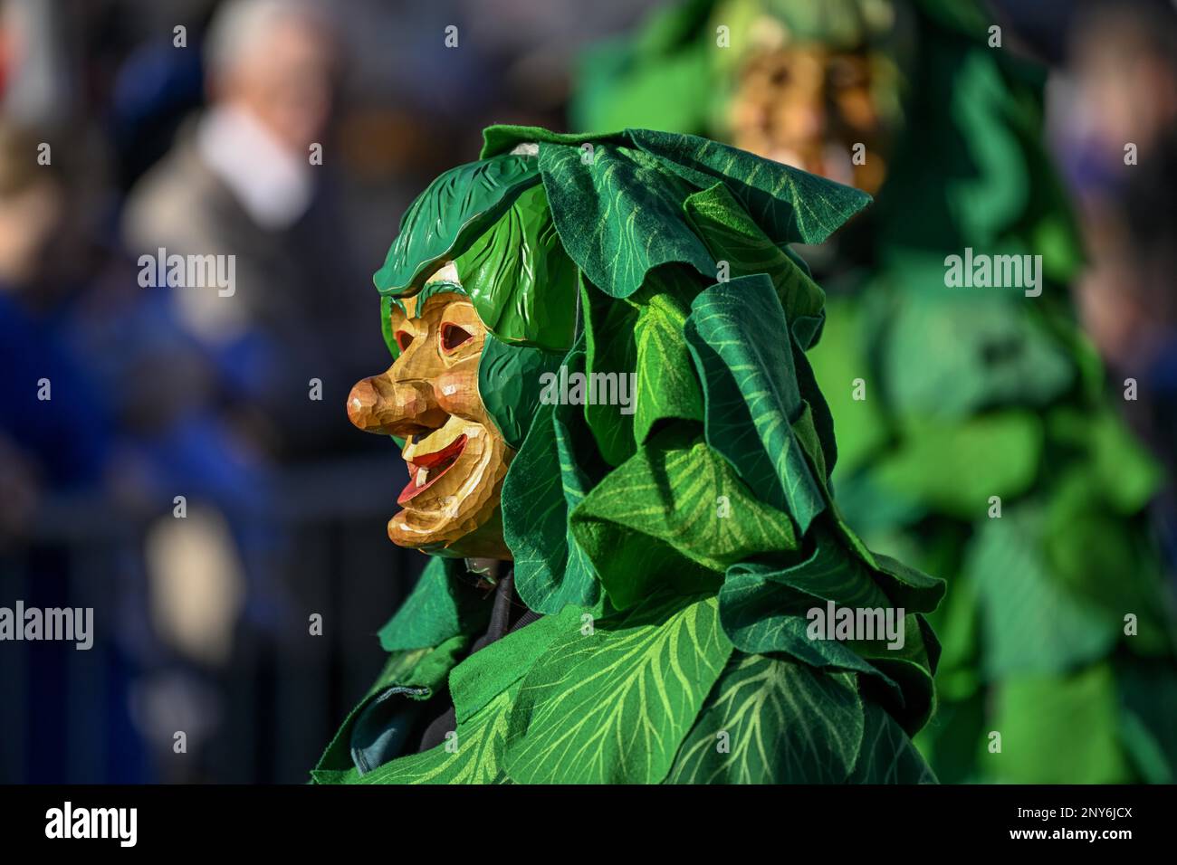 Narrenzunft Krutblaettsche de Kehl-Goldscheuer à la grande parade du Carnaval, à la parade du Carnaval, au Carnaval Swabian-Alemannique, à Oberkirch, à Ortenaukreis Banque D'Images