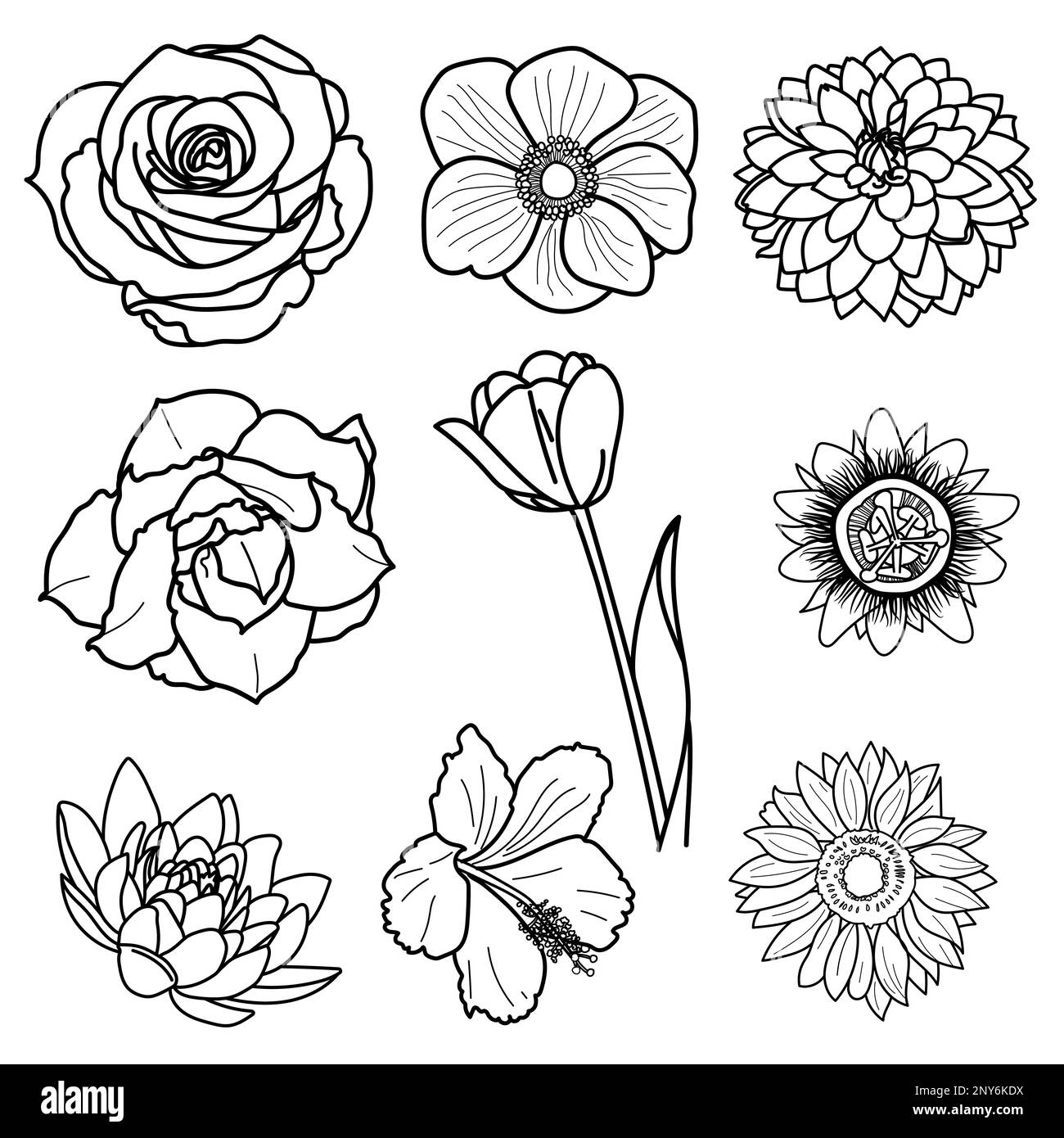 Dessin d'un bouquet de fleurs, isolé sur une illustration vectorielle blanche. Illustration de Vecteur