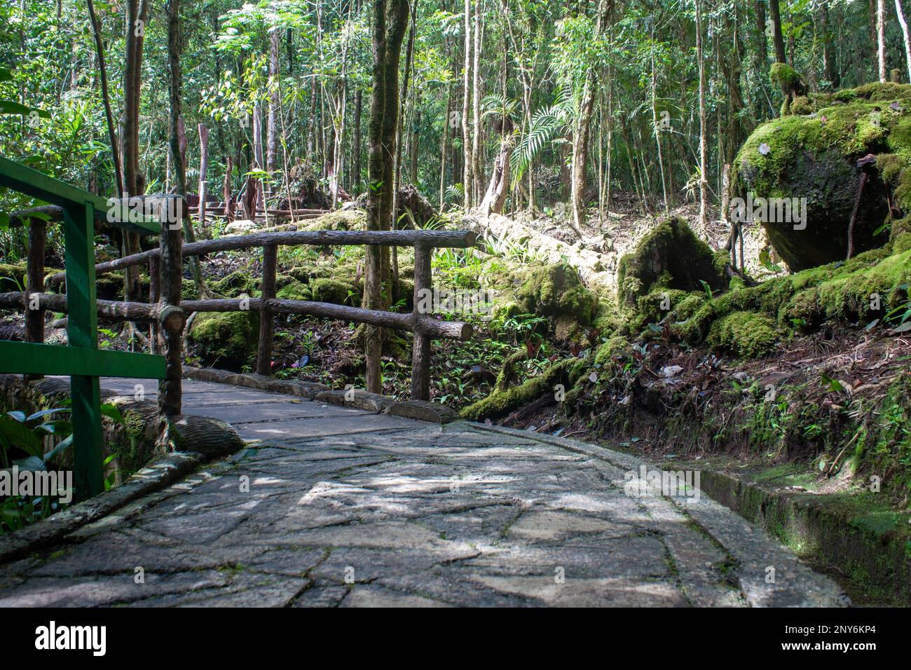 Chemin d'un sentier utilisé pour le trekking dans le parc national de Kinabalu, Sabah, Malaisie. Un sentier pittoresque à l'intérieur du parc national de Kinabalu, qui est une UNESCO Banque D'Images