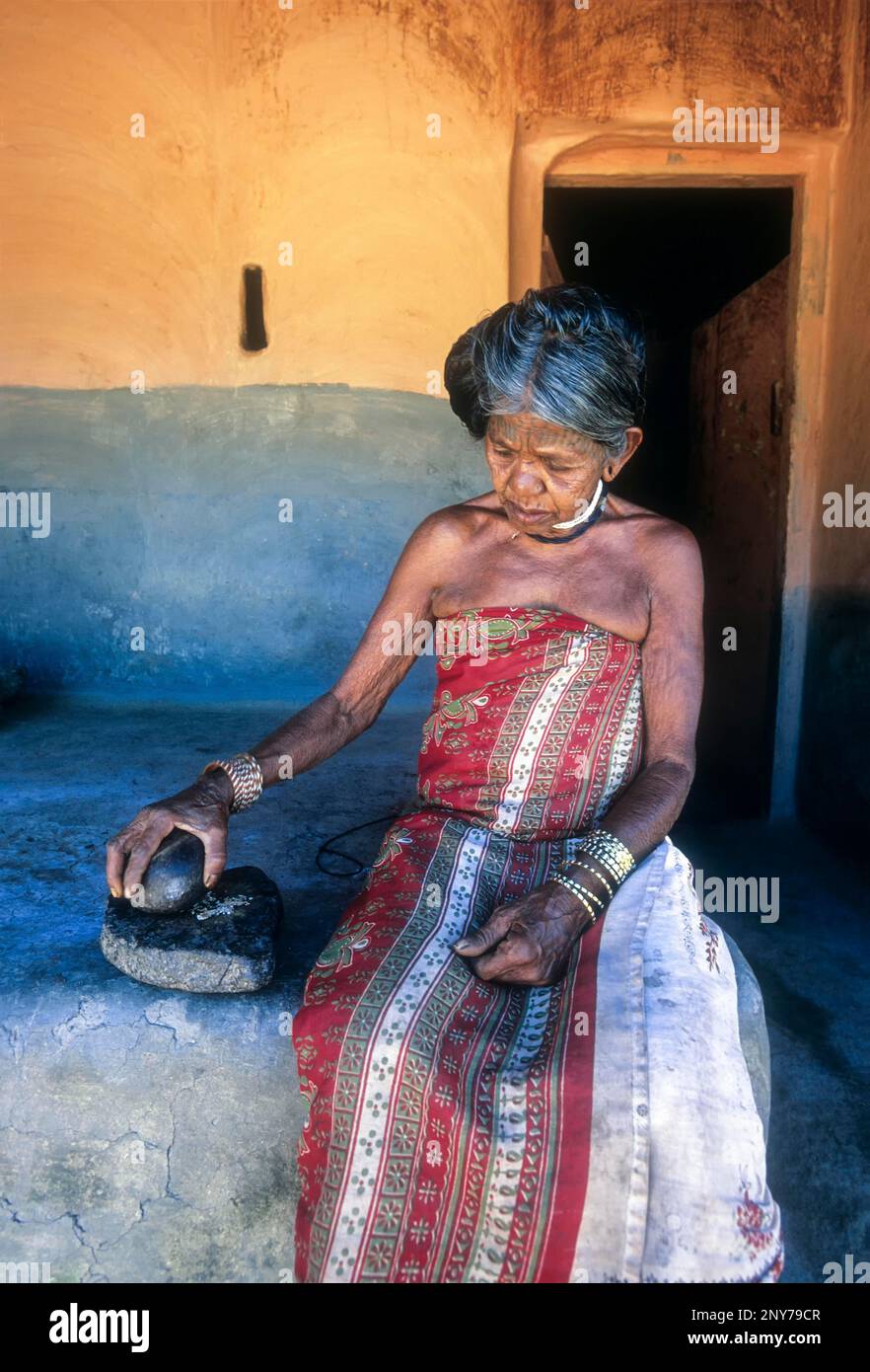 Muduga Tribal Old Lady dans Silent Valley, Kerala, Inde Banque D'Images