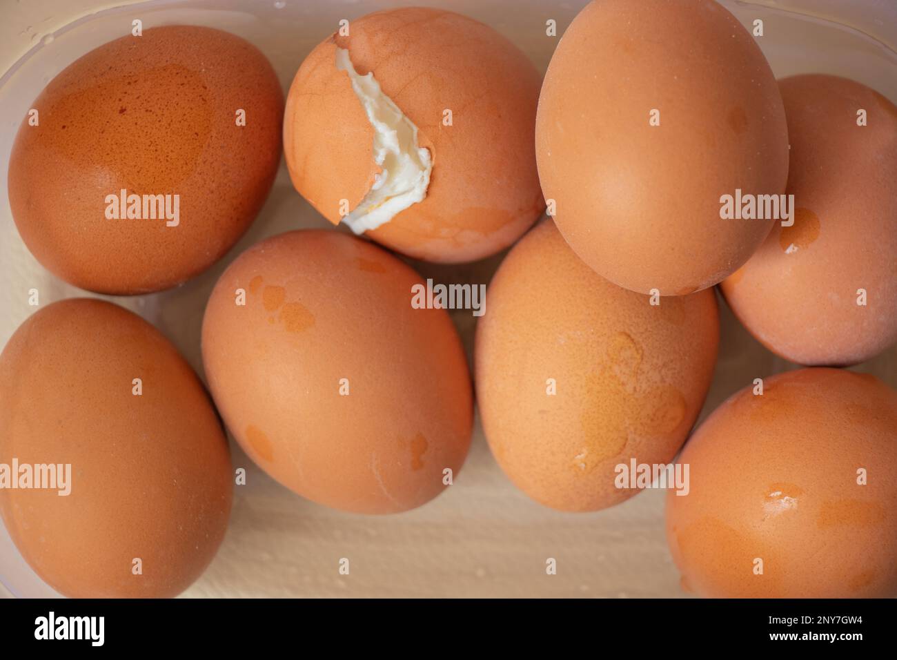 les œufs de poulet cuits sont dans un bol Banque D'Images