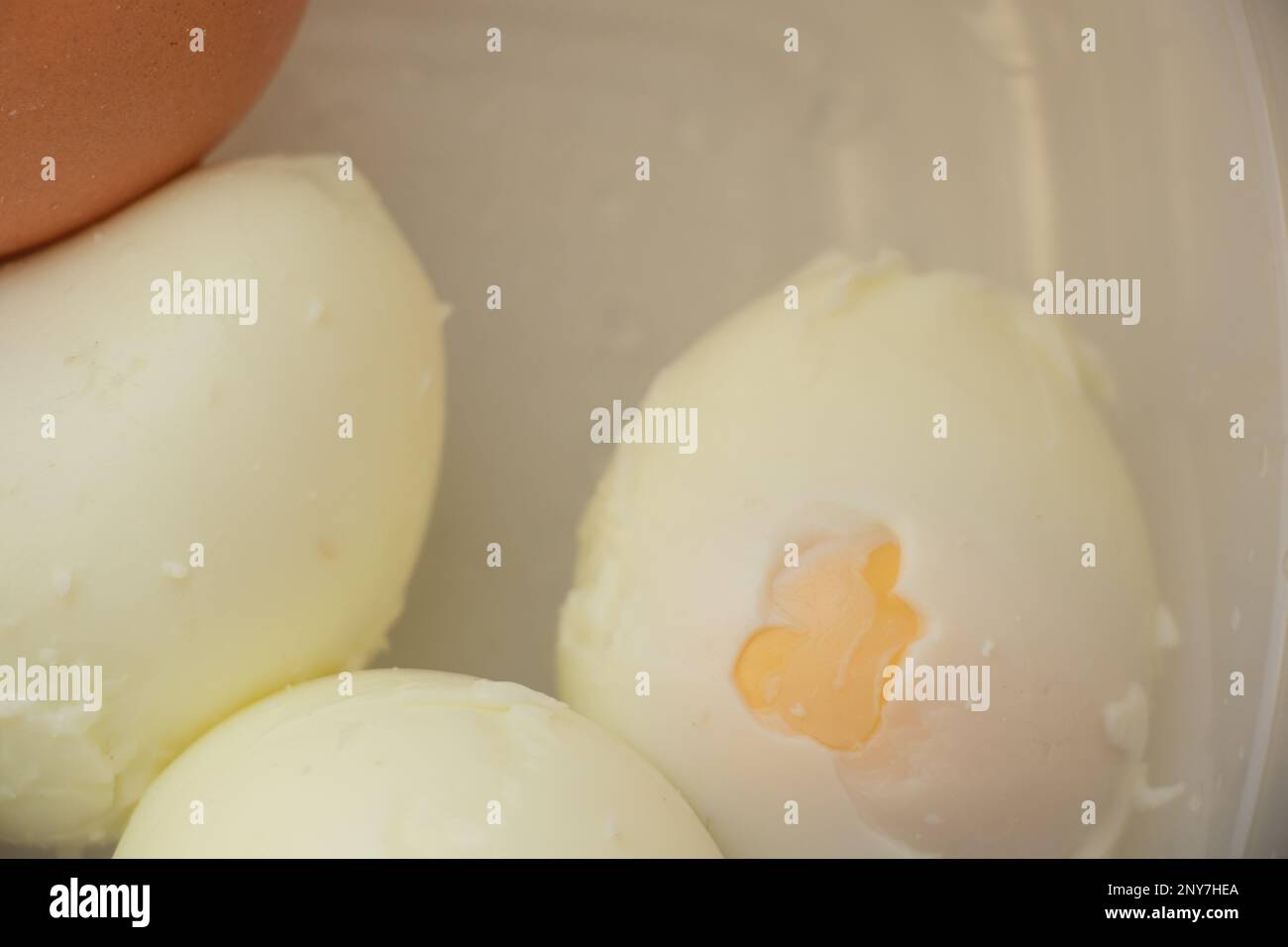 les œufs de poulet cuits sont dans un bol Banque D'Images