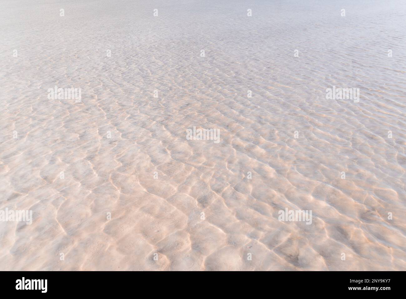 ondule sur l'eau. eau peu profonde sur le lac. eau claire et propre sur le lac. Banque D'Images