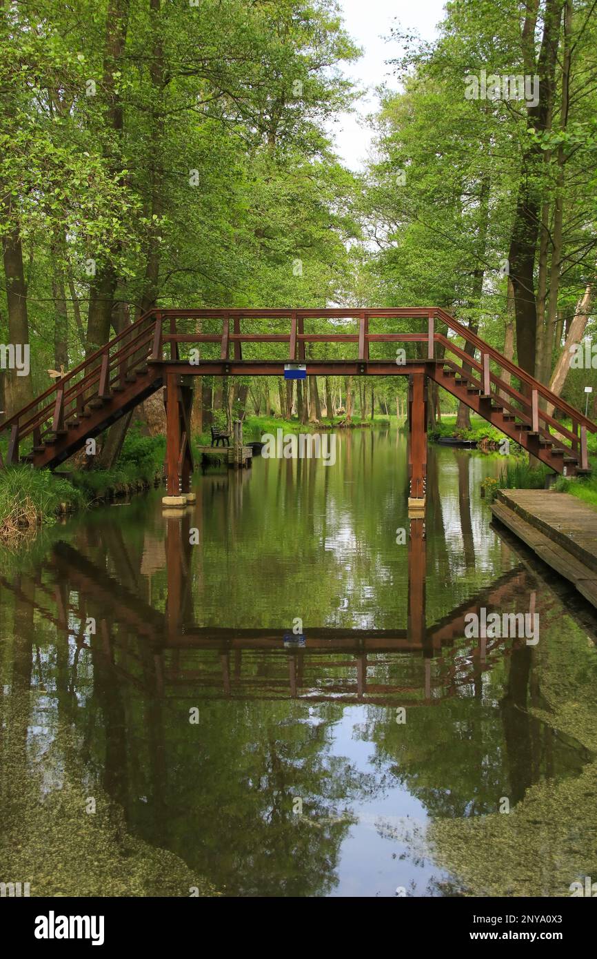 Forêt de Spree, symbole, pont en bois, raddusch port Banque D'Images