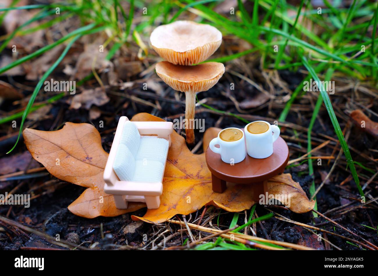 Uonlytech - 8 Figurines Champignons Non Peintes - DIY, Peinture, Décoration Et Jouets