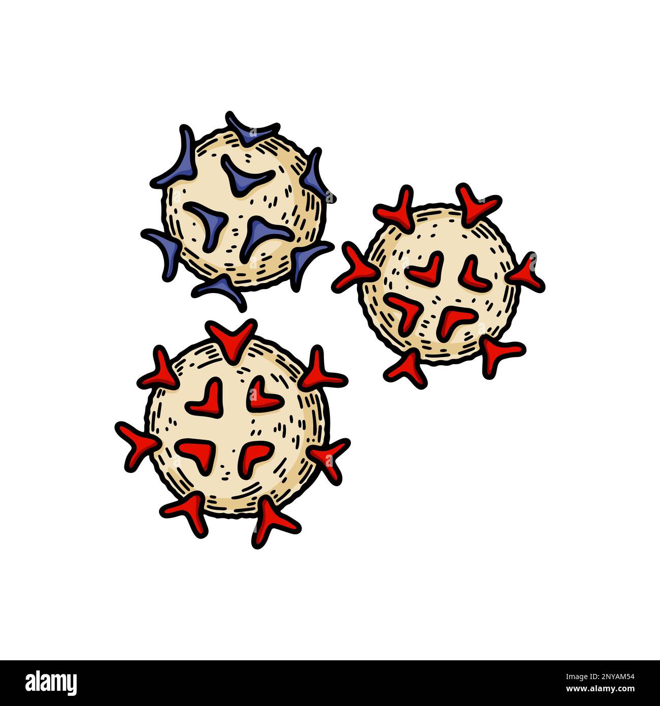 Lymphocytes globules blancs isolés sur fond blanc. Illustration de vecteur de microbiologie scientifique dessiné à la main dans un style d'esquisse Illustration de Vecteur