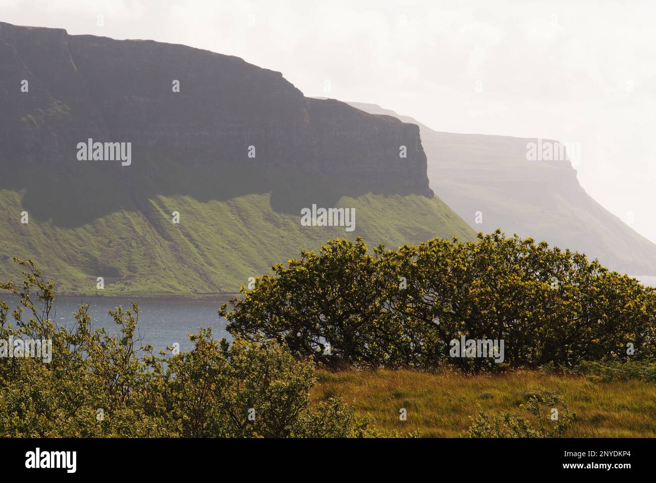 Vue sur le Loch Na Keal jusqu'à Creag Brimishgan, Mull, Écosse. Royaume-Uni, avec de l'herbe et des arbres au premier plan Banque D'Images