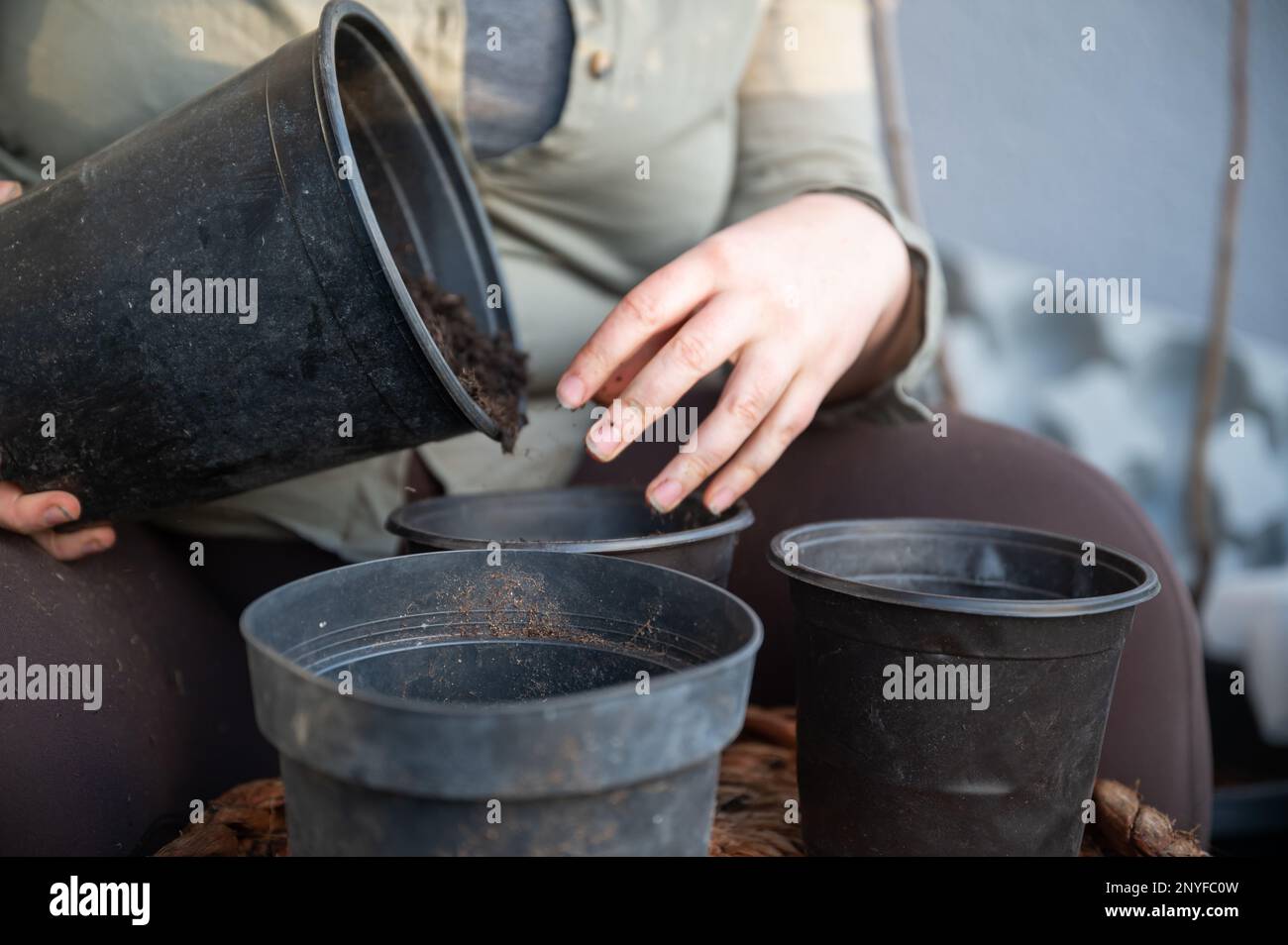 Femme en gros plan remplissant le sol d'un grand pot noir en trois plus petits pots sur le balcon, jardinage, aucun visage visible Banque D'Images
