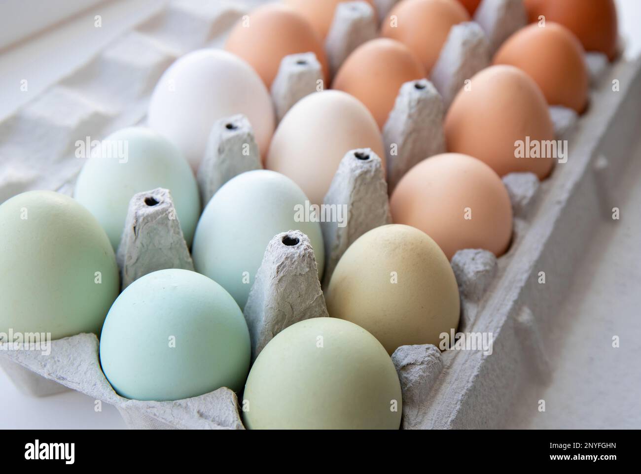 Lot d'œufs de poulet de différentes couleurs disposés par couleur sur une boîte à œufs en papier. Toutes sortes de couleurs : bleu, vert, blanc, beige, marron. Banque D'Images