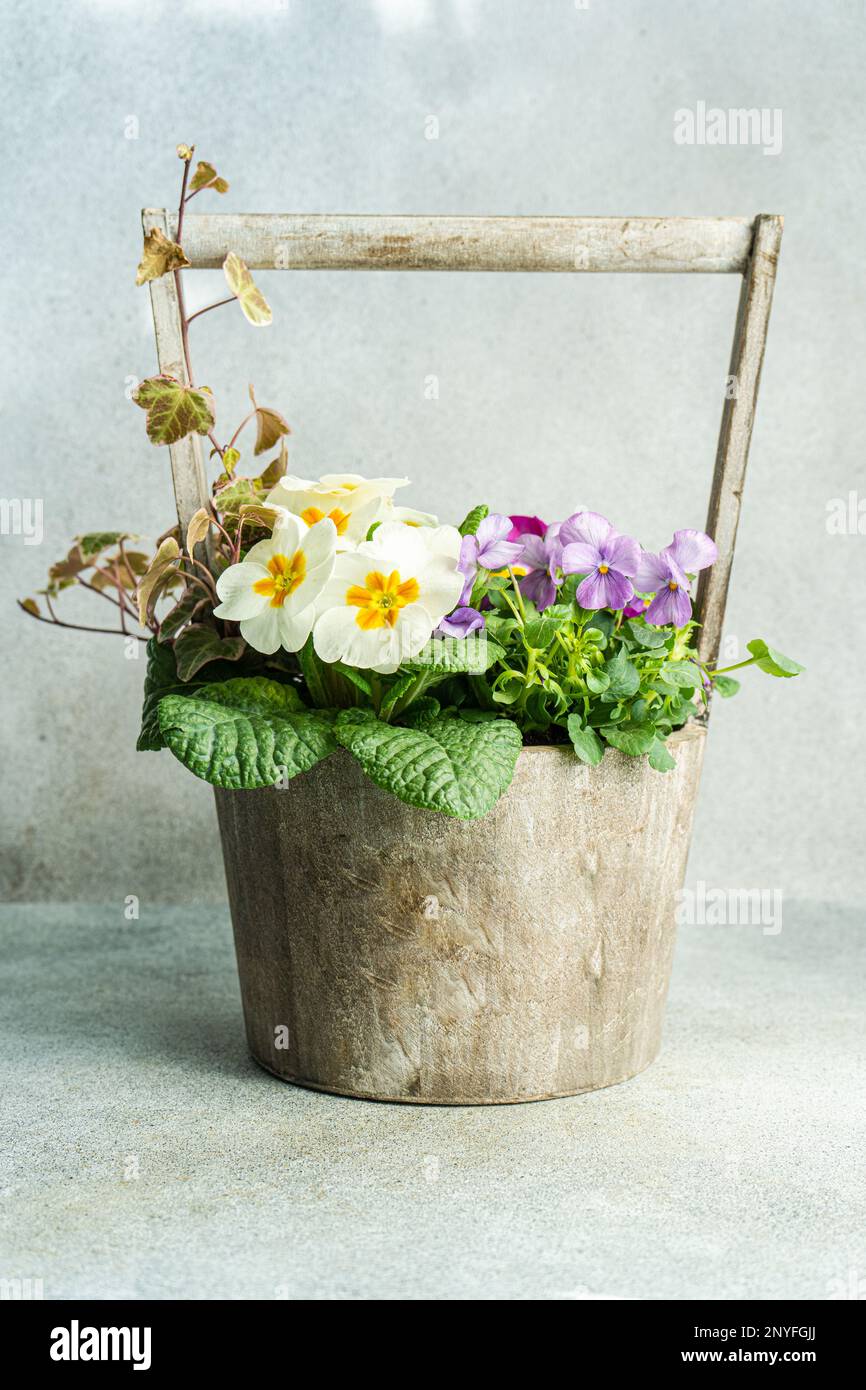 Composition florale printanière avec fleurs de saison vives Banque D'Images