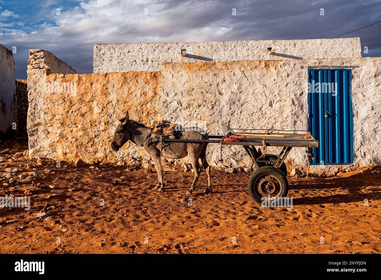 Âne avec chariot debout sur un sol sablonneux près d'un vieux bâtiment miteux avec porte bleue en Mauritanie Banque D'Images