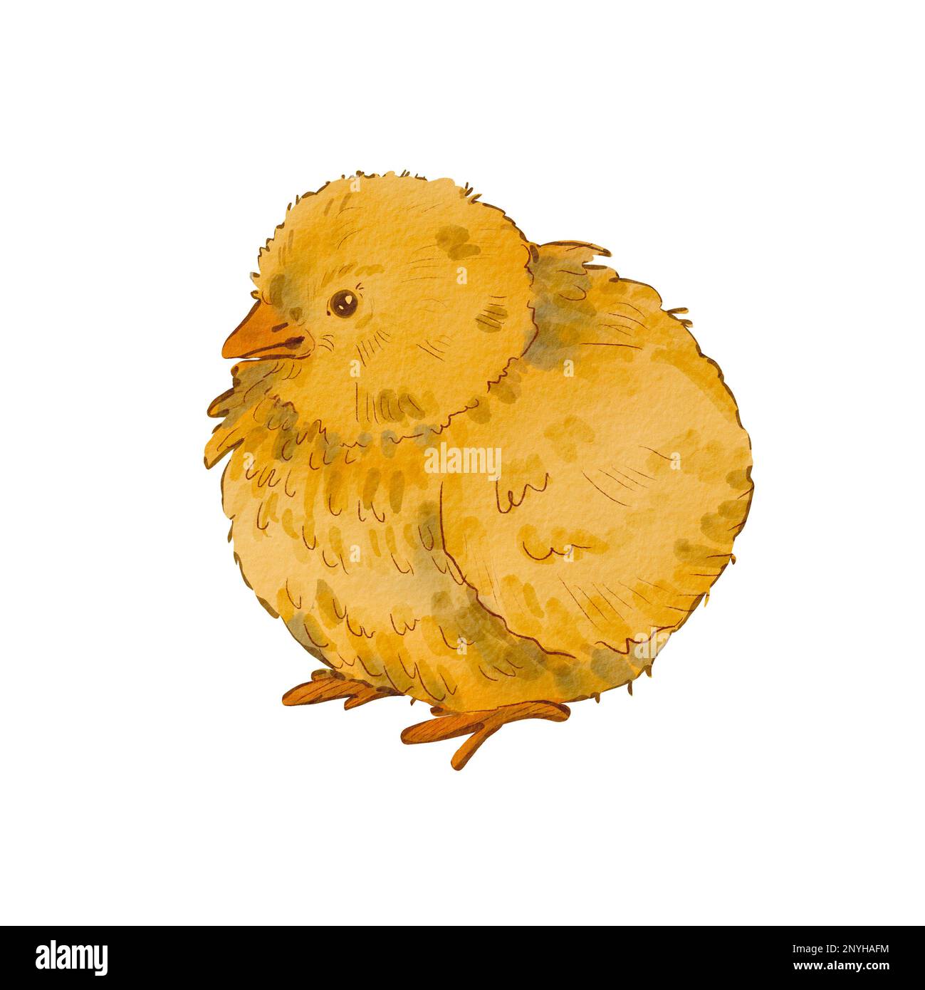 Poulet rond mignon isolé sur fond blanc. Illustration aquarelle d'un poulet jaune nouveau-né. Motif Pâques. Poussin doux. Convient pour les posta Banque D'Images