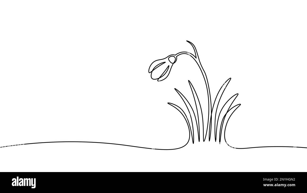 Chutes de neige de la fleur du premier printemps. Une ligne continue fleurs du jardin tôt nature beaux pétales blancs. Esquisser un vecteur dessiné à la main Illustration de Vecteur