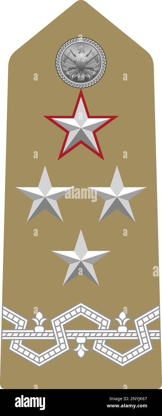 Épaule officier militaire insigne de l'Italie GÉNÉRALE DI CORPO d'ARMATA CON INCARICHI SPECIALI (LIEUTENANT GÉNÉRAL - SPÉCIAL EN CHARGES) Illustration de Vecteur